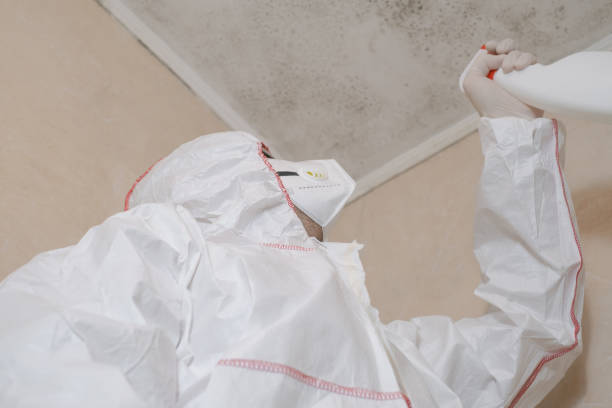 Best Residential Mold Remediation in Zillah, WA