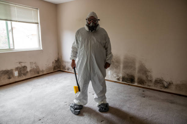 Best Industrial Mold Remediation in Zillah, WA